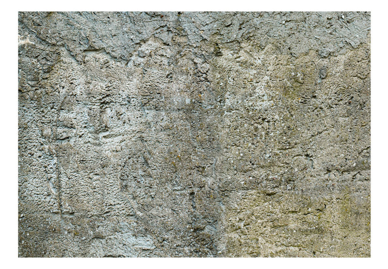 https://www.fotoartgeist.pl/ebaytemp/fototapety1/f-A-0490-a-b/f-A-0490-a-b.jpg