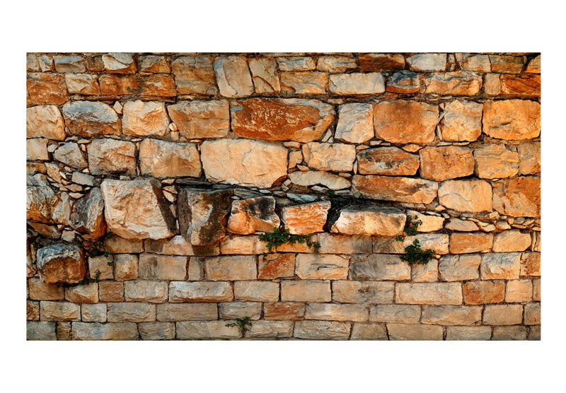 https://www.fotoartgeist.pl/ebaytemp/fototapety1/f-A-0495-x-b/f-A-0495-x-b.jpg