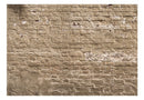 https://www.fotoartgeist.pl/ebaytemp/fototapety1/f-A-0507-a-c/f-A-0507-a-c.jpg