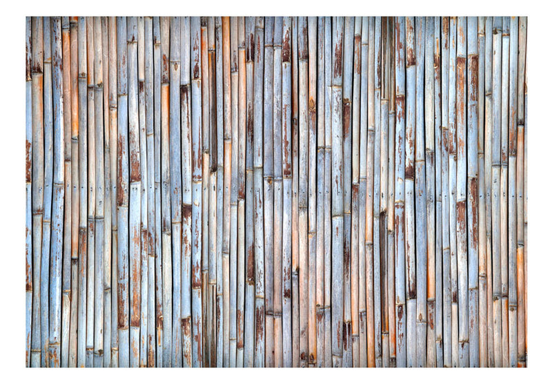 https://www.fotoartgeist.pl/ebaytemp/fototapety/f-C-0062-a-b/f-C-0062-a-b.jpg