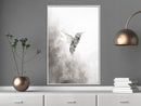 Poster - Hummingbird in Shades of Grey  - wit