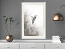 Poster - Hummingbird in Shades of Grey  - wit passepartout