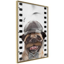 Poster - Dressed Up Pug  - goud