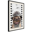 Poster - Dressed Up Pug  - zwart passepartout