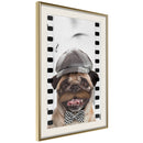 Poster - Dressed Up Pug  - goud passepartout