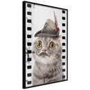 Poster - Dressed Up Cat  - zwart