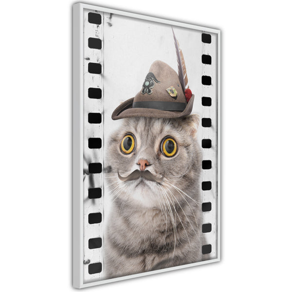 Poster - Dressed Up Cat  - wit