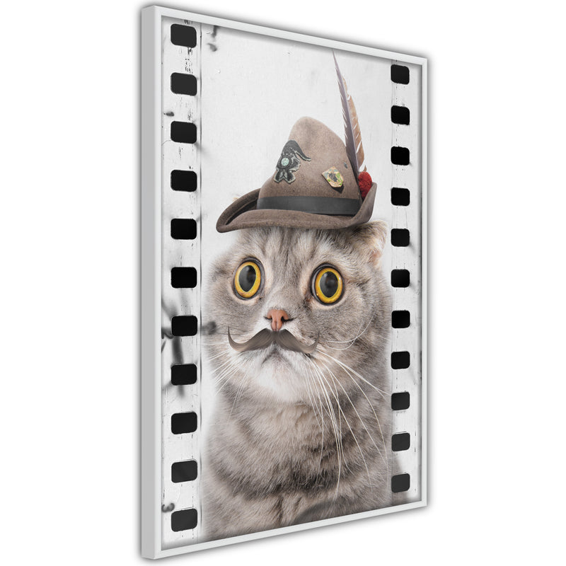 Poster - Dressed Up Cat  - wit