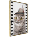 Poster - Dressed Up Cat  - goud