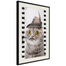 Poster - Dressed Up Cat  - zwart passepartout