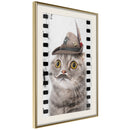 Poster - Dressed Up Cat  - goud passepartout