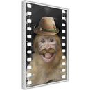 Poster - Dressed Up Monkey  - wit