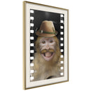 Poster - Dressed Up Monkey  - goud passepartout