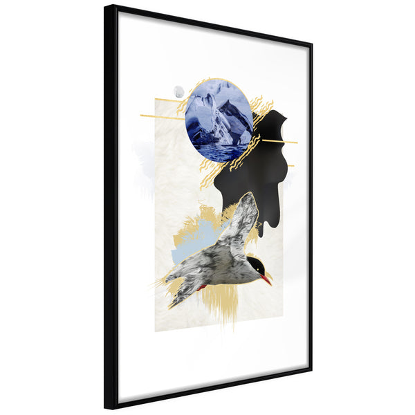 Poster - Abstraction with a Tern  - zwart