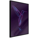 Poster - Fluorescent Hummingbird   - zwart