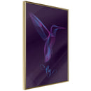 Poster - Fluorescent Hummingbird   - goud