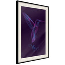 Poster - Fluorescent Hummingbird   - zwart passepartout