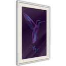 Poster - Fluorescent Hummingbird   - wit passepartout