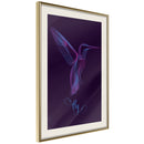 Poster - Fluorescent Hummingbird   - goud passepartout