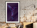 Poster - Fluorescent Hummingbird   - zwart passepartout