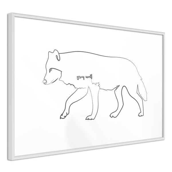 Poster - Grey Wolf  - wit