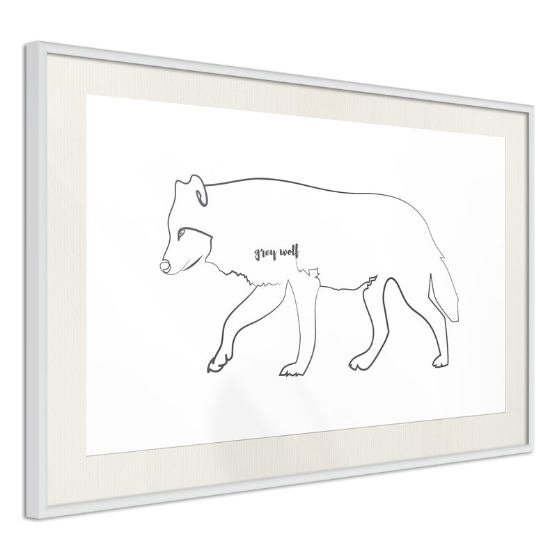 Poster - Grey Wolf  - wit passepartout