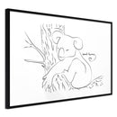 Poster - Resting Koala  - zwart
