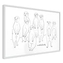 Poster - Meerkat Lookout  - wit