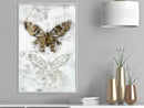 Poster - Butterfly Fossils  - wit