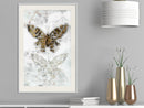Poster - Butterfly Fossils  - wit passepartout