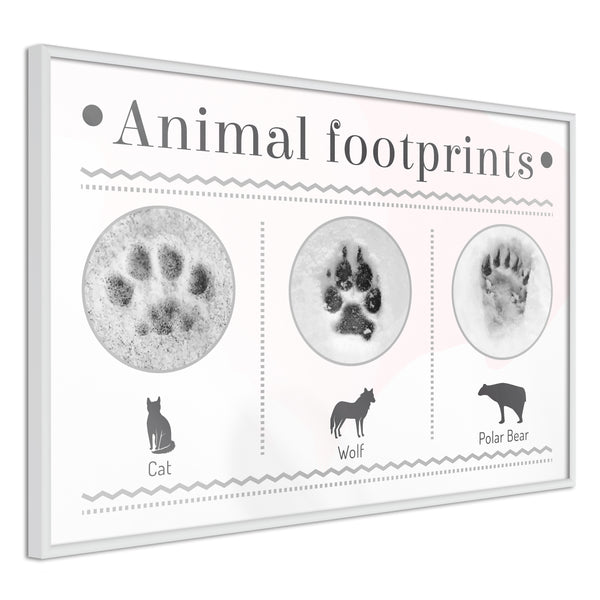 Poster - How to Recognize an Animal  - wit