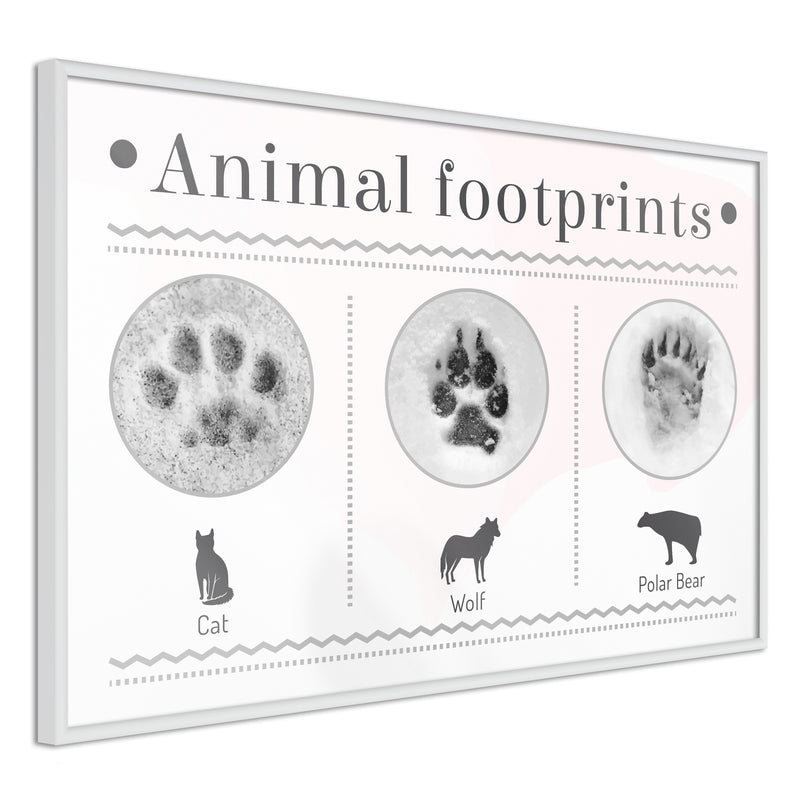 Poster - How to Recognize an Animal  - wit