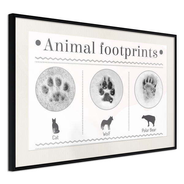 Poster - How to Recognize an Animal  - zwart passepartout