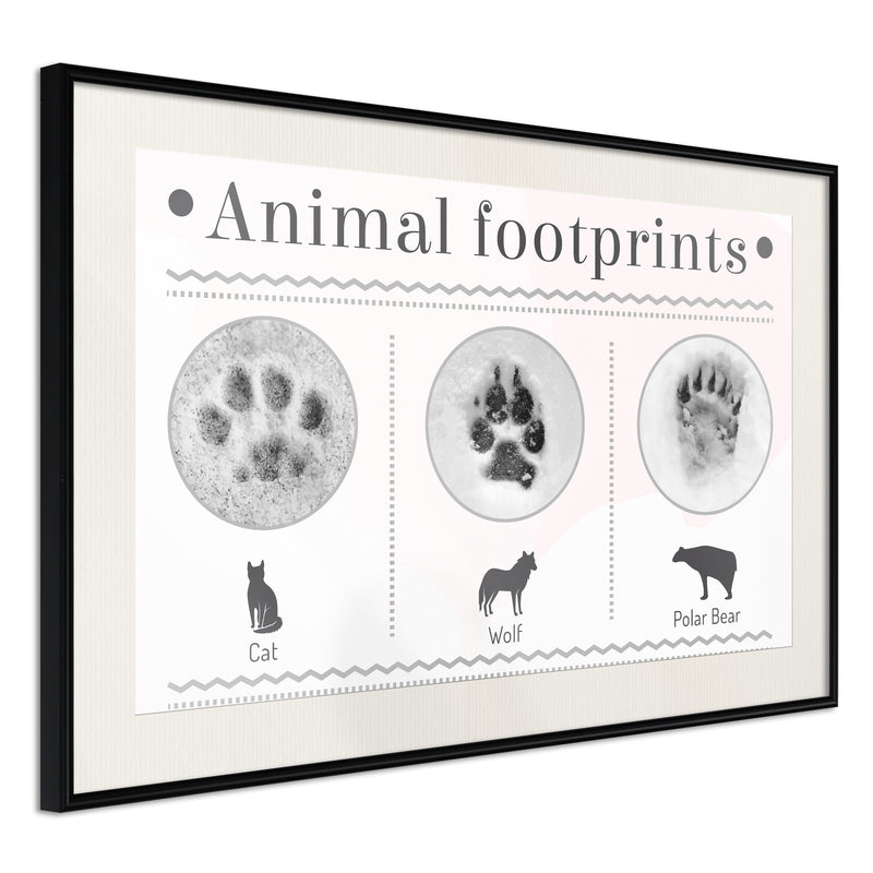 Poster - How to Recognize an Animal  - zwart passepartout