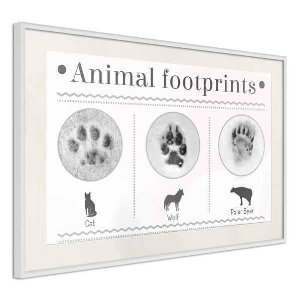 Poster - How to Recognize an Animal  - wit passepartout