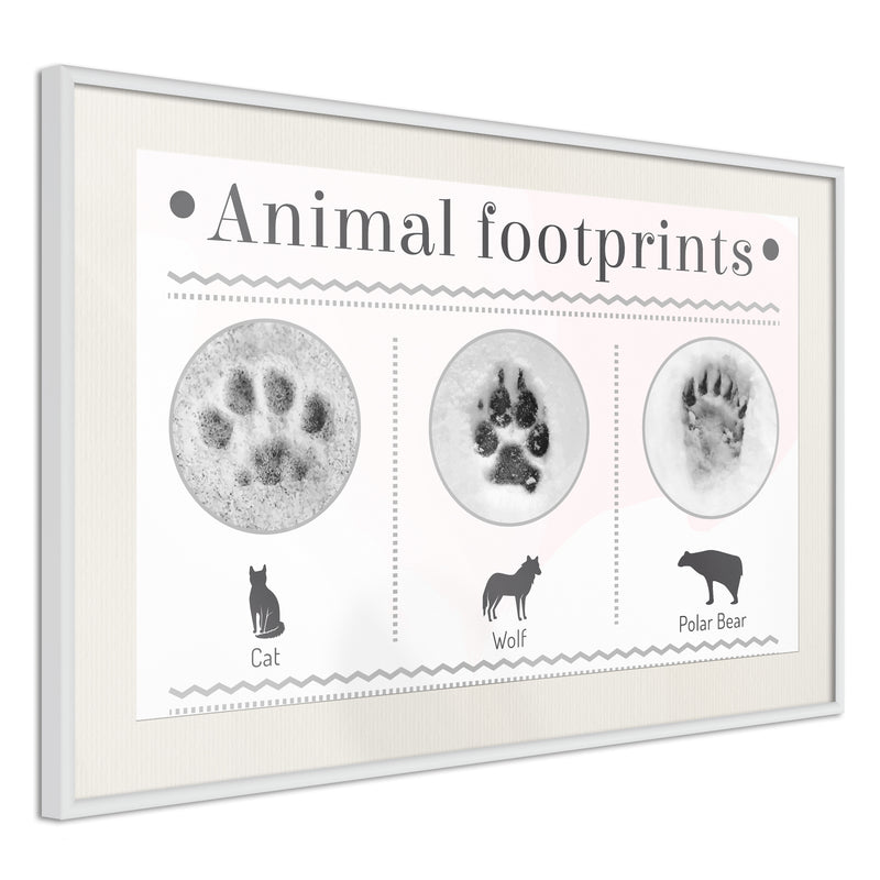 Poster - How to Recognize an Animal  - wit passepartout