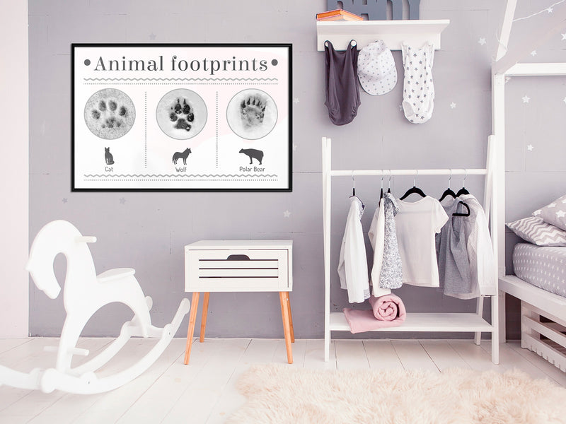 Poster - How to Recognize an Animal  - zwart