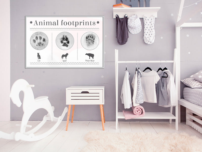 Poster - How to Recognize an Animal  - wit