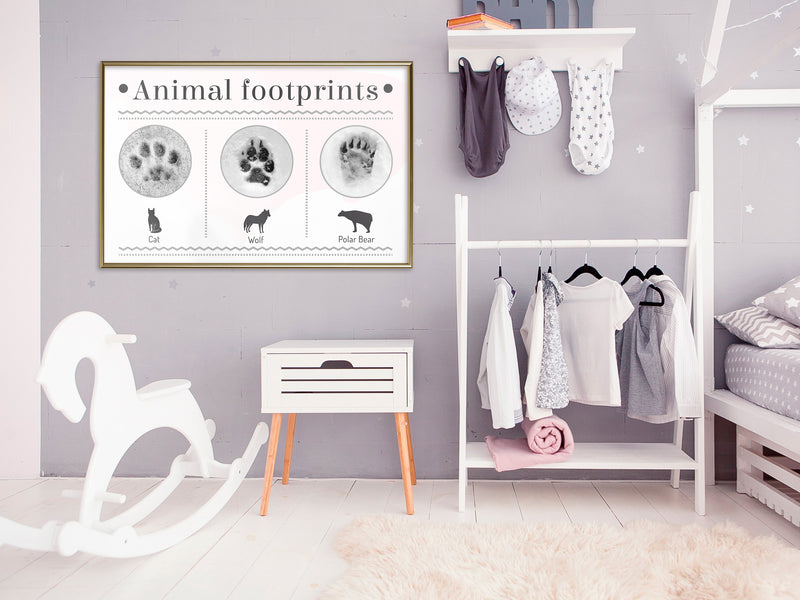 Poster - How to Recognize an Animal  - goud