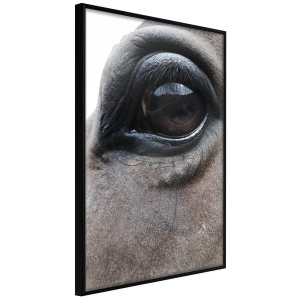 Poster - Gentle Eyes  - zwart