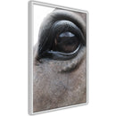 Poster - Gentle Eyes  - wit