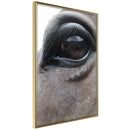 Poster - Gentle Eyes  - goud