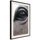 Poster - Gentle Eyes  - zwart passepartout