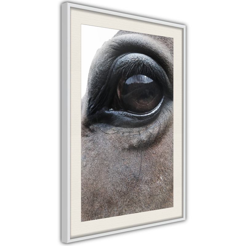 Poster - Gentle Eyes  - wit passepartout