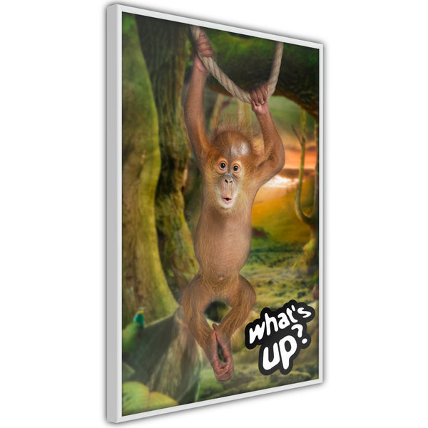 Poster - Life in the Jungle  - wit