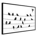 Poster - Birds Council Meeting  - zwart