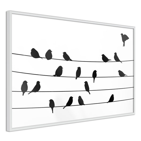 Poster - Birds Council Meeting  - wit