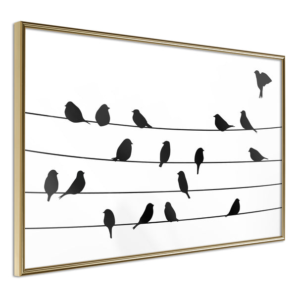 Poster - Birds Council Meeting  - goud