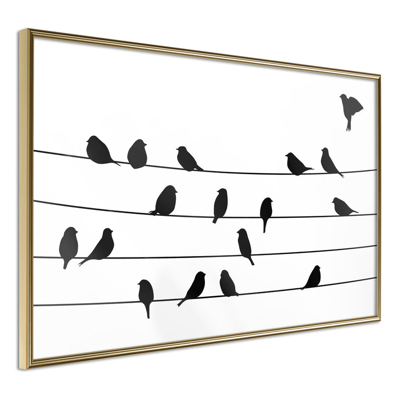 Poster - Birds Council Meeting  - goud