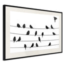 Poster - Birds Council Meeting  - zwart passepartout